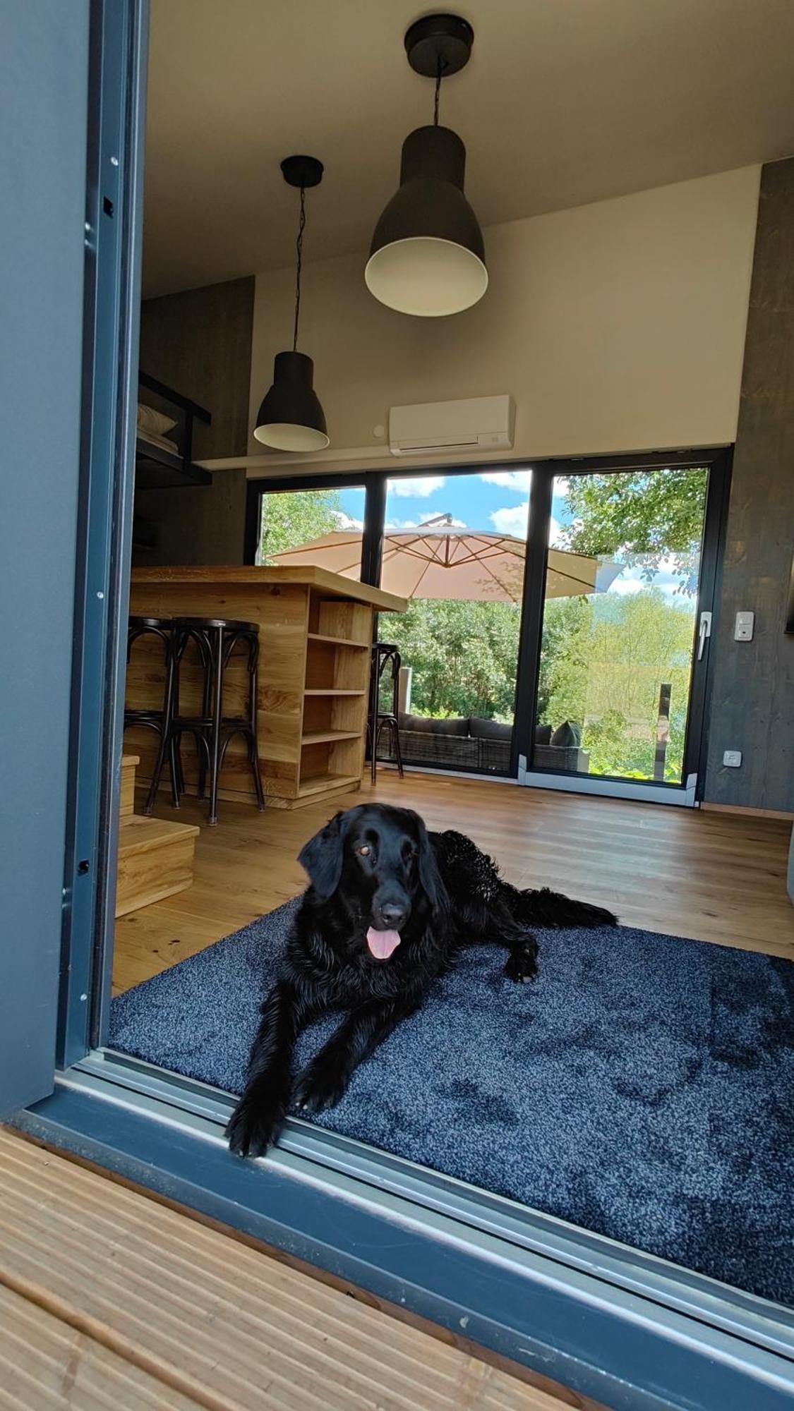 Tinyhousebeidresden 3 Fuer 2 - 7 Personen, Naehe Saechsische Schweiz, Dresden, Mit Badeteich Grossharthau Exterior foto