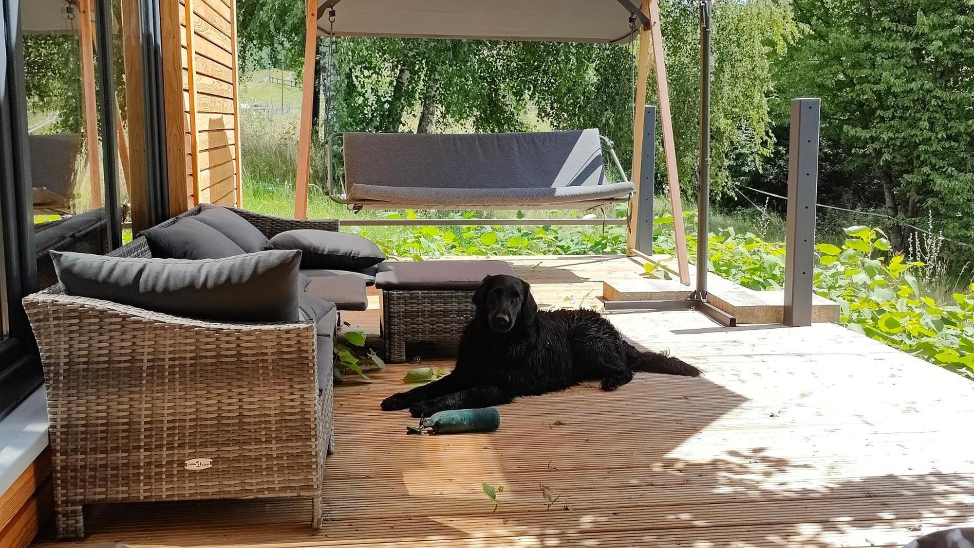 Tinyhousebeidresden 3 Fuer 2 - 7 Personen, Naehe Saechsische Schweiz, Dresden, Mit Badeteich Grossharthau Exterior foto